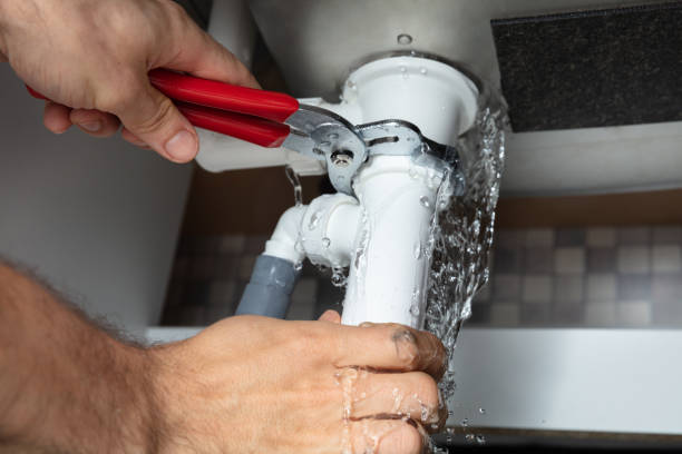 Best Mold removal after water damage  in La Mesa, CA