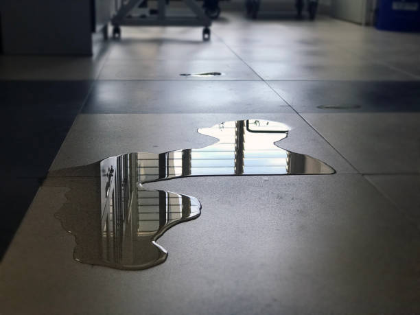 Best Water damage restoration near me  in La Mesa, CA