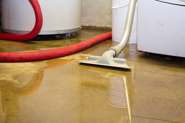 Best Carpet water damage restoration  in La Mesa, CA