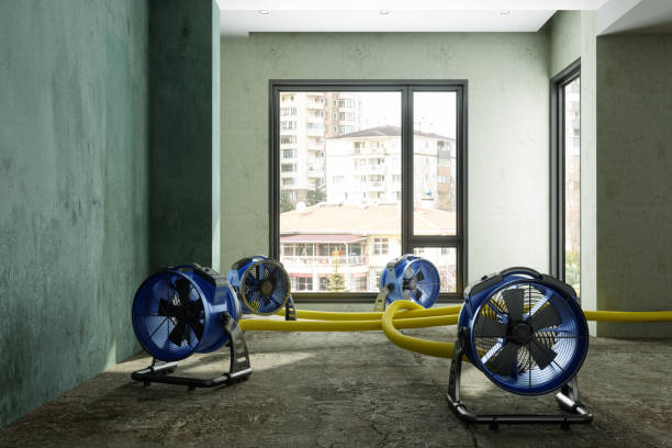 Best Commercial water damage restoration  in La Mesa, CA
