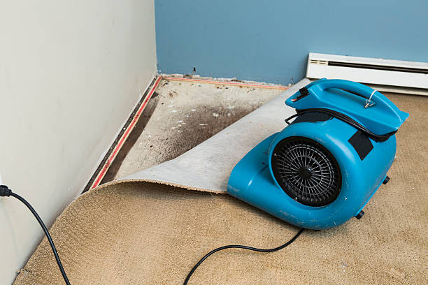 Best Sewage cleanup and water damage restoration  in La Mesa, CA